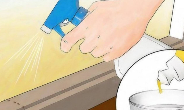 Πώς εξαφανίζονται τα μυρμήγκια με εντελώς φυσικό τρόπο; (vid)