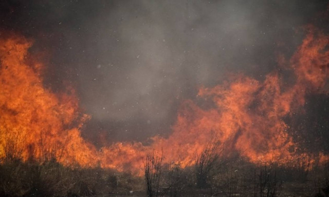 Φωτιά ΤΩΡΑ στα Πολιτικά Ευβοίας