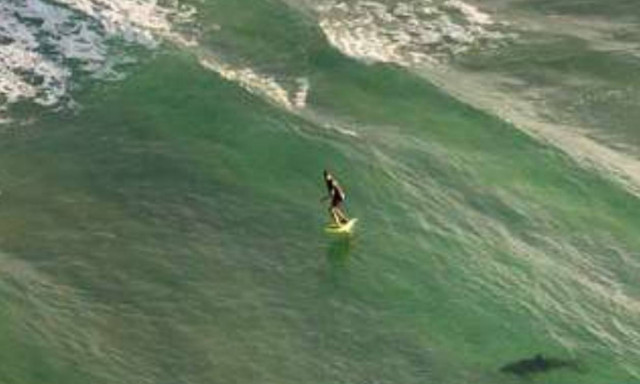 Αυστραλία: Eφιαλτικές εικόνες από καρχαρία που παραμονεύει σέρφερ