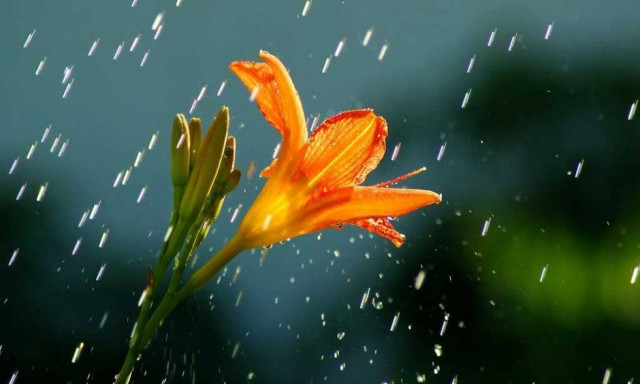 Καιρός: Στους 34 βαθμούς το θερμόμετρο - Πού θα σημειωθούν καταιγίδες