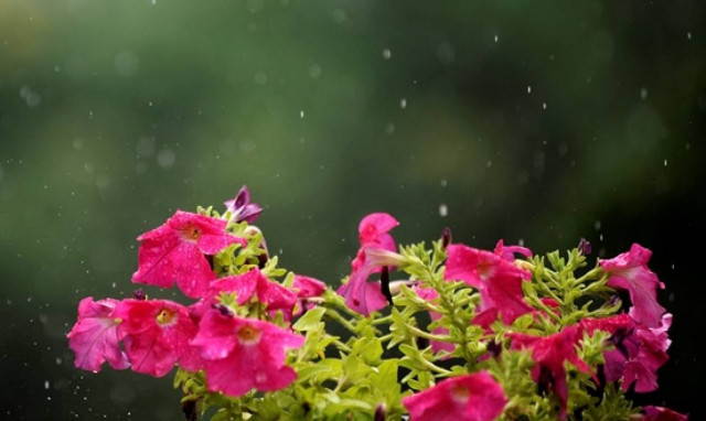 Καιρός: 35άρια και... καταιγίδες το Σάββατο