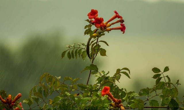 Καιρός: Έως 35 βαθμούς η θερμοκρασία το Σάββατο (9/6) -  Σε ποιες περιοχές θα βρέξει