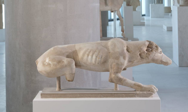 Μαρμάρινο γλυπτό κυνηγετικού σκυλιού βρέθηκε νοτίως του Παρθενώνα