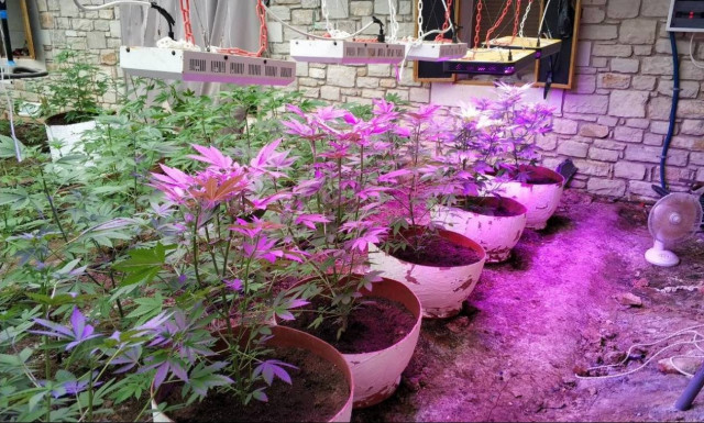 Κρήτη: Εξαρθρώθηκε εγκληματική ομάδα - Όπλα, ναρκωτικά κι εκρηκτικά αποκάλυψε η έρευνα (pics&vid)