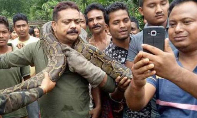 Πύθωνας πήγε να πνίξει τον «σωτήρα» του την ώρα που έβγαζε selfie (video)