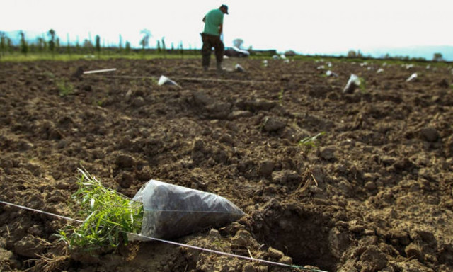 Δράση «Κομφούζιο»: Αυτές είναι οι ημερομηνίες των αιτήσεων για τη 2η πρόσκληση