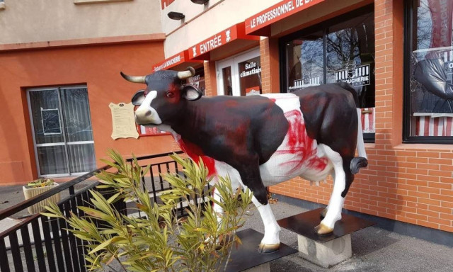 Σε «απόγνωση» οι κρεοπώλες από τις επιθέσεις των βίγκαν