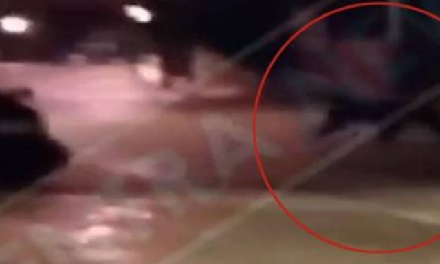 Καστοριά: «Πάγωσε» το αίμα του όταν είδε ξαφνικά μπροστά του αυτό το άγριο ΘΗΡΙΟ μετά τα μεσάνυχτα!