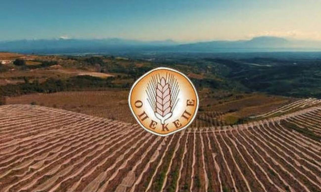 ΟΠΕΚΕΠΕ: Πληρωμές ύψους 12,5 εκατ. ευρώ σε σχεδόν 55.000 δικαιούχους