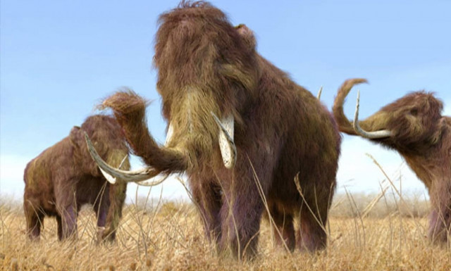 Τα πρώτα ζώα της Γης είχαν προκαλέσει και αυτά κλιματική αλλαγή