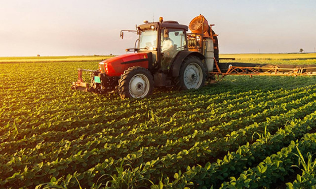 Έως τις 10 Αυγούστου το πρόγραμμα για σύσταση ομάδων και οργανώσεων παραγωγών