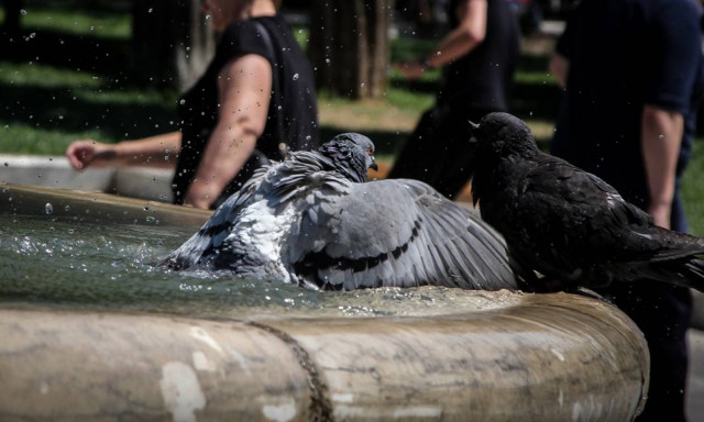 Φτερωτοί κατάσκοποι: Δεν είναι περιστέρια… είναι drones!