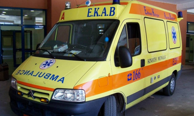 Συναγερμός στη Μανωλάδα για το επικίνδυνο έντομο που στέλνει στο νοσοκομείο όποιον τσιμπήσει