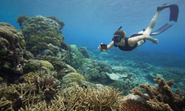 Καλές βουτιές παρέα με τις αδιάβροχες φωτογραφικές μηχανές της Panasonic!