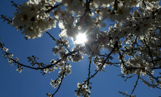 Ο καιρός σήμερα, Κυριακή 15 Ιουλίου
