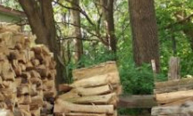 ΤΕΣΤ: Σχεδόν κανείς δεν μπορεί να βρει τη γάτα σε λιγότερο από 10 δεύτερα!