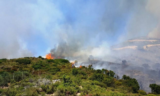 Φωτιά ΤΩΡΑ: Μεγάλη πυρκαγιά στη Λεωφόρο Μαραθώνος