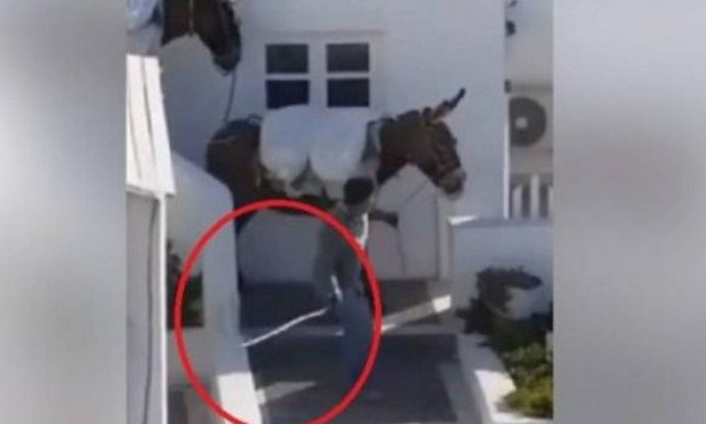 Σαντορίνη: Xωρίς έλεος χτυπούν τα γαϊδουράκια οι οδηγοί! (video)