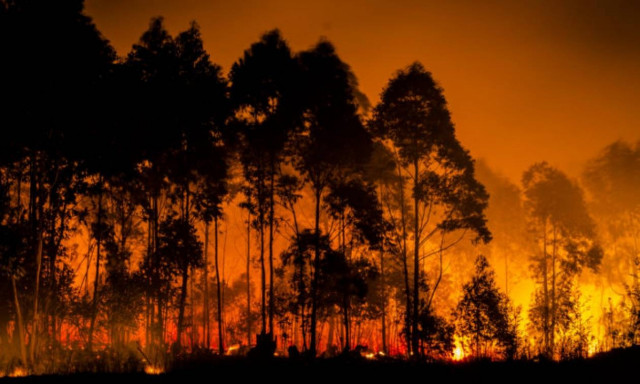 Στο έλεος των πυρκαγιών η Σουηδία: Καίγονται αρχαία δάση - Δείτε φωτογραφίες και βίντεο
