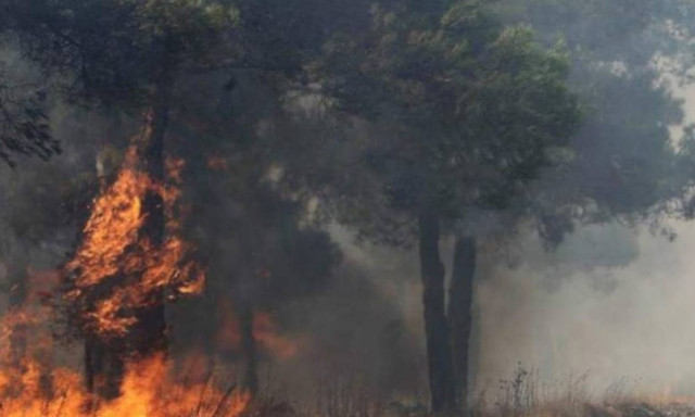 Φωτιά ΤΩΡΑ: Μεγάλη πυρκαγιά στον Πύργο