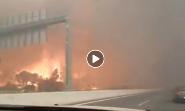 Φωτιά ΤΩΡΑ: Σοκαριστικό βίντεο με τις φλόγες να κυκλώνουν την Εθνική Οδό