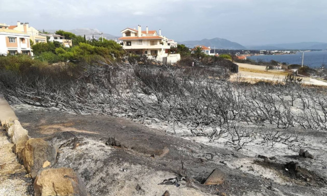 Official number of dead is at 49, fire brigade spokesperson Malliri says