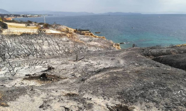 Φωτιά ΤΩΡΑ: «Κρανίου τόπος» ο Άγιος Νικόλαος στην Ραφήνα (vid-pics)