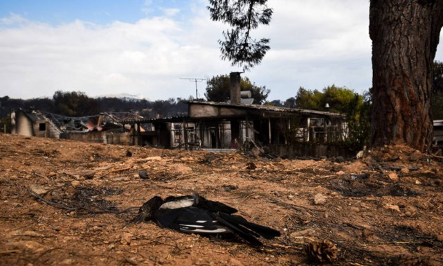 Φωτιά – Δραματική έκκληση: «Ψάχνω  τη μητέρα μου σε νοσοκομεία και νεκροτομεία - Βοηθήστε με»