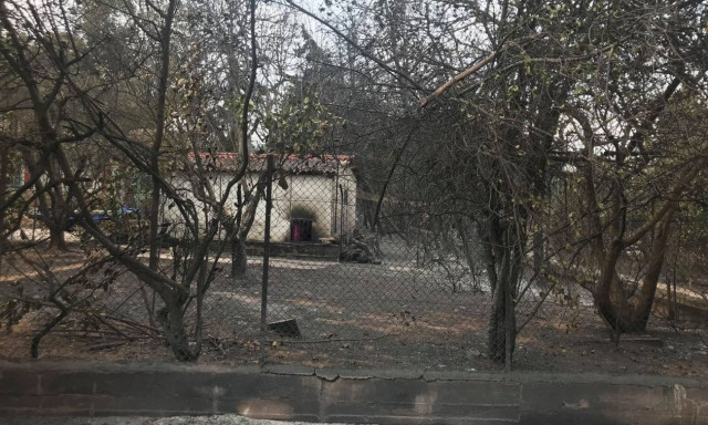 Φωτιά Μάτι: Τραγωδία δίχως τέλος - Ανατριχίλα από τις μαρτυρίες των πληγέντων (pics&vids)