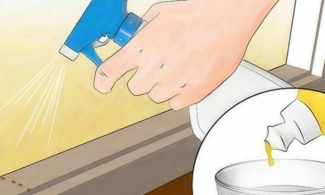 Πως εξαφανίζονται τα μυρμήγκια με εντελώς φυσικό τρόπο; (video)