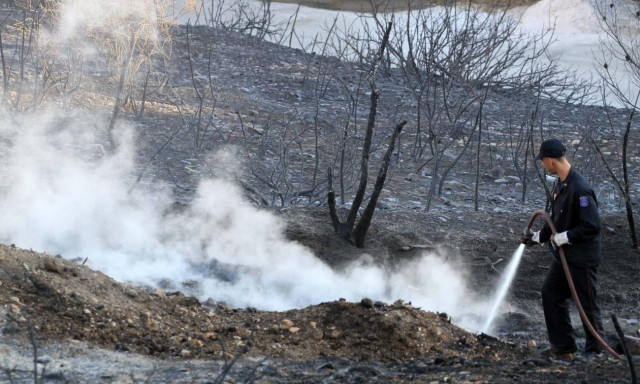 Φωτιά ΤΩΡΑ: Αναζωπύρωση στο Νέο Βουτζά