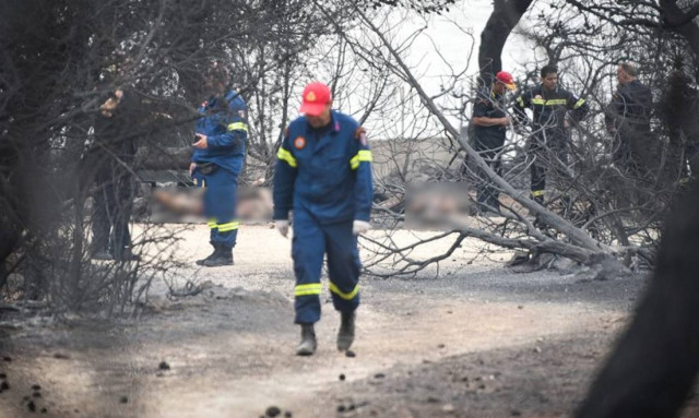 Greece wildfires: Search for missing family members after 77 dead