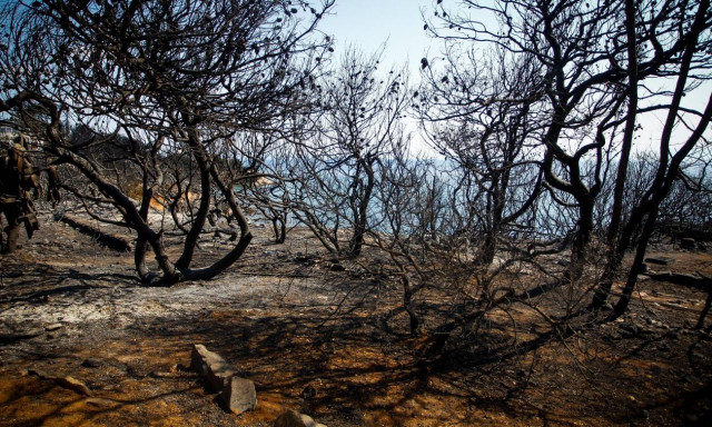 Death toll from Greek fires rises to 79