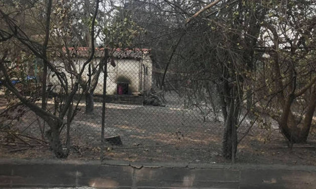 Κύπρος: Χίλια κιβώτια ανθρωπιστικής βοήθειας προς τους πυρόπληκτους της Αττικής