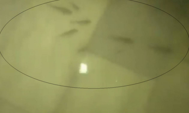 Απίστευτες εικόνες! Πλημμύρισε νοσοκομείο – Ψάρια κολυμπούν στους θαλάμους των ασθενών (Vid+Pics)