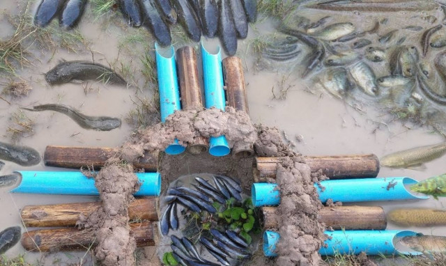 Απίστευτη παγίδα για εγγυημένη ψαριά! Μόλις τη δείτε θα τη φτιάξετε αμέσως! (video)