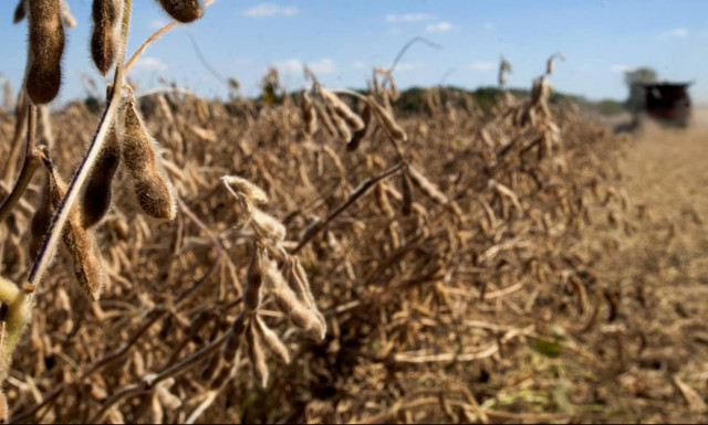 Πότε και πώς θα αποζημιωθούν οι αγρότες της Κορινθίας από φωτιές και πλημμύρες