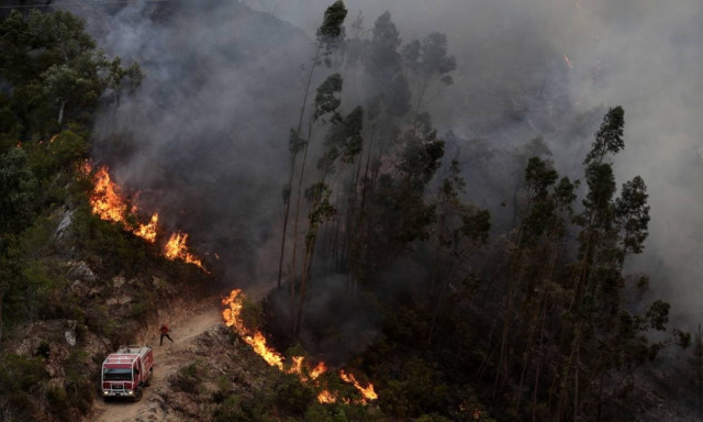 Καιρός: Καύσωνας και πυρκαγιές σαρώνουν την Ευρώπη - Τρεις νεκροί στην Ισπανία (pics+vids)