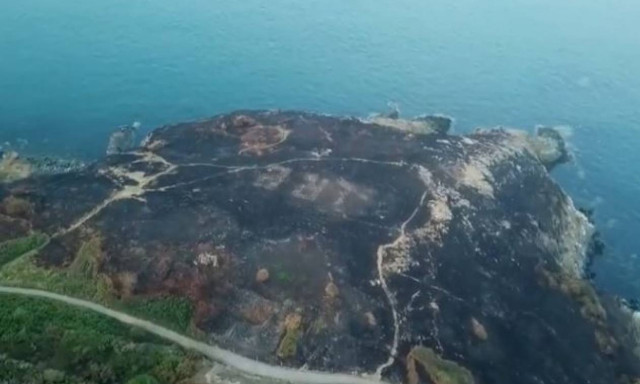 Ιρλανδία: Η φωτιά αποκάλυψε μήνυμα του Β’ Παγκοσμίου Πολέμου! (vid)