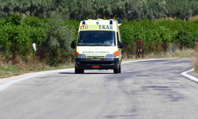 Αργολίδα: Επίθεση σκύλου σε νεαρό τουρίστα στις Μυκήνες