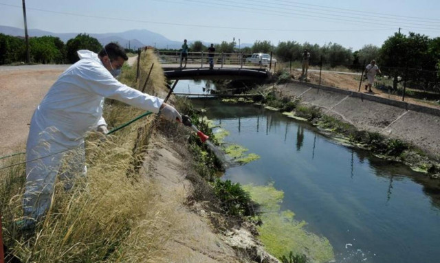 Ιός Δυτικού Νείλου: Απότομη αύξηση των κρουσμάτων στη χώρα μας