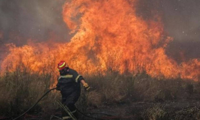 Υπό έλεγχο η φωτιά στη Γαλάζια Ακτή στο Σχοινιά