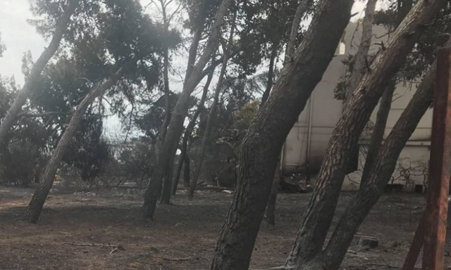 Χρηματική ενίσχυση 1.200 ευρώ στους πυρόπληκτους για τις τηλεπικοινωνιακές τους ανάγκες