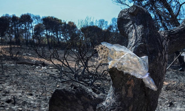 Φωτιά Μάτι: Στη δημοσιότητα η λίστα με τα ονόματα των νεκρών στις φονικές πυρκαγιές
