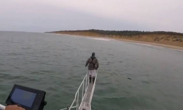 Τρόμος στο νερό! Πήγε να τον αρπάξει λευκός καρχαρίας και σώθηκε την τελευταία στιγμή (vid)