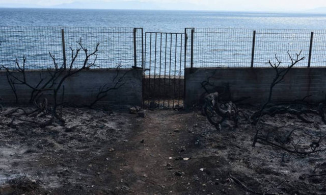 Gov't issues Act of Legislative Content on demolition of illegal buildings