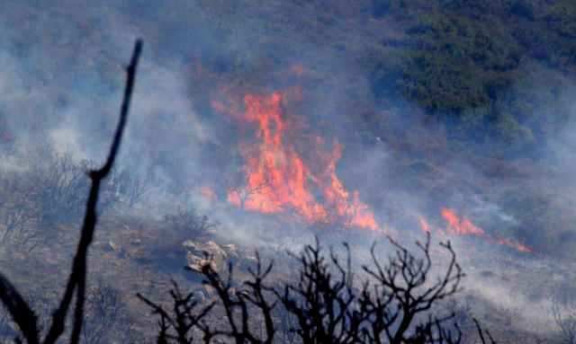 Φωτιά: Νέο πύρινο μέτωπο ξέσπασε στη Ζάκυνθο