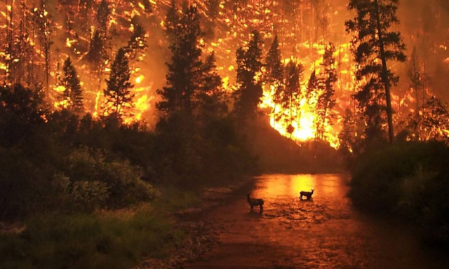 Στις φλόγες οι ΗΠΑ: Μαίνονται πάνω από 100 πυρκαγιές