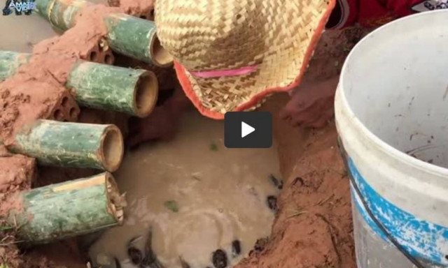 Καλοκαίρι - ψάρεμα: Δείτε πώς μπορείτε να πιάσετε ψάρια και καβούρια με 5 μπαμπού