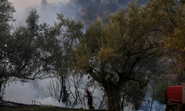 Φωτιά Εύβοια: Σε ύφεση η μεγάλη πυρκαγιά που κατέκαψε χιλιάδες στρέμματα